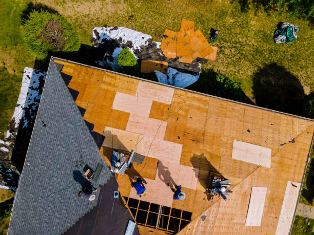 Best Roof Leak Repair  in Foresthill, CA