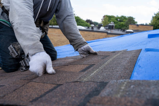 Professional Roofing Contractor in Foresthill, CA